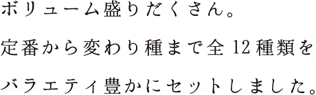 昔ながらの味［野菜天］［いか天］など合計5種類のセットです。